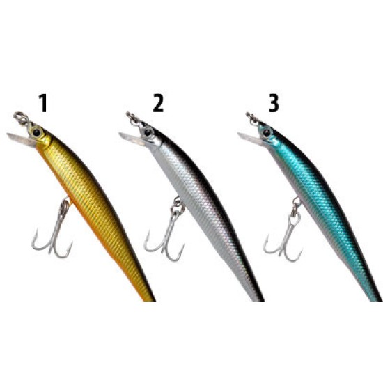 DTD SRDELA 70 HOLOGRAM