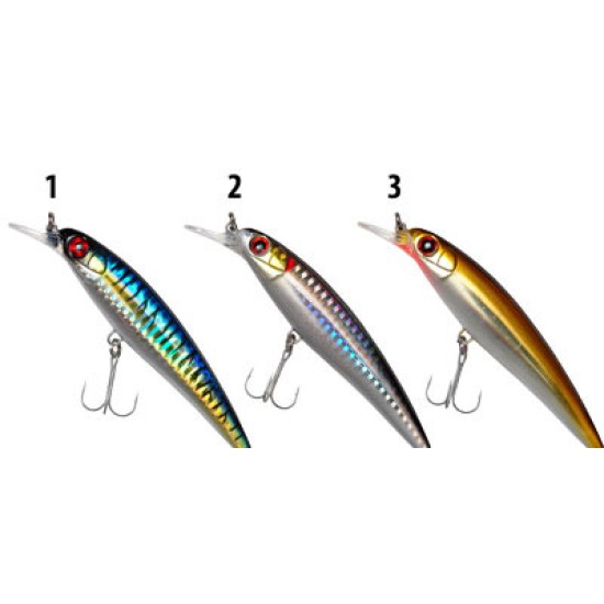 DTD SKUSA 100 HOLOGRAM