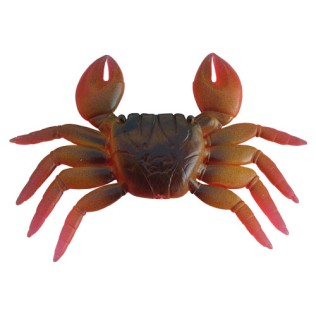 DTD CRAB JUMBO