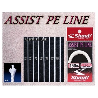 SHOUT 89-AP ASSIST PE LINE