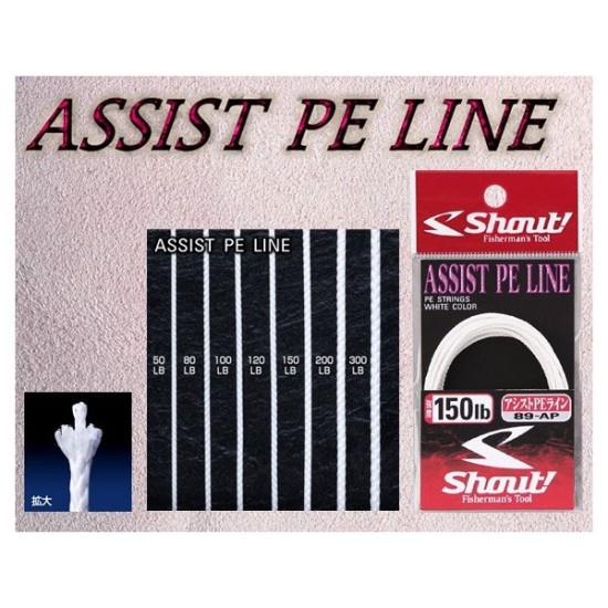 SHOUT 89-AP ASSIST PE LINE