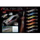 DTD REAL FISH OITA #3.0