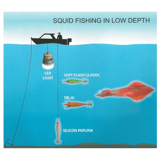 DTD LEAD SILICON PAPALINA 60gr