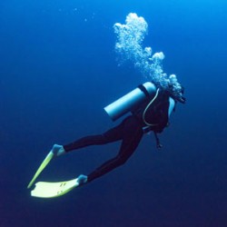 Είδη κατάδυσης