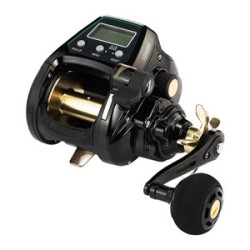 Ηλεκτρικοί